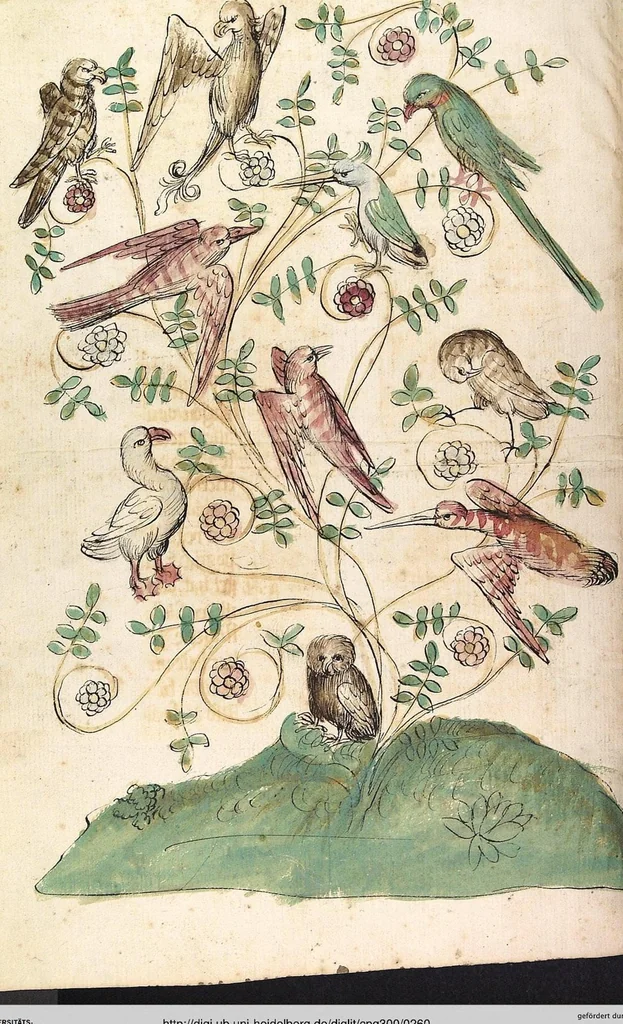 An illustration from Das Buch der Natur, 1442, leaf 260