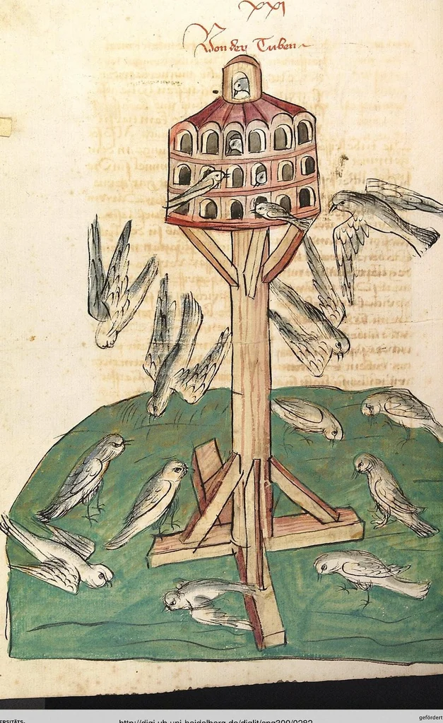 An illustration from Das Buch der Natur, 1442, leaf 282