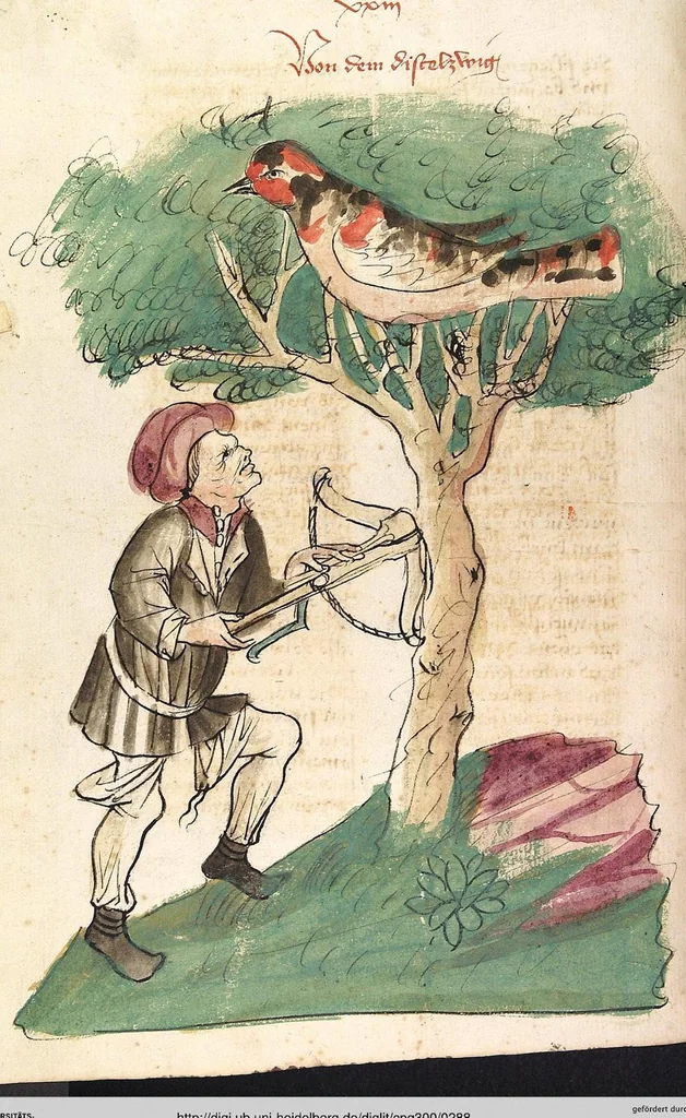 An illustration from Das Buch der Natur, 1442, leaf 288
