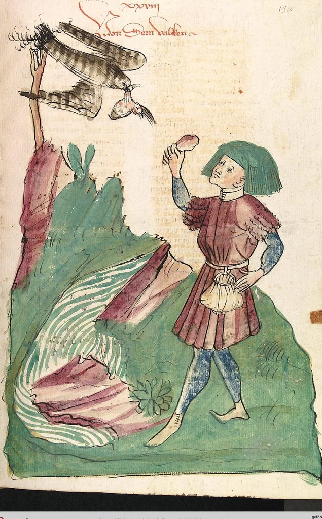 An illustration from Das Buch der Natur, 1442, leaf 295