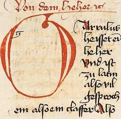 An illustration from Das Buch der Natur, 1442, leaf 312