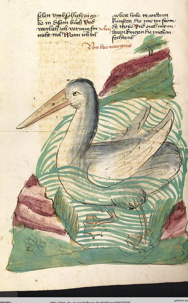 An illustration from Das Buch der Natur, 1442, leaf 320