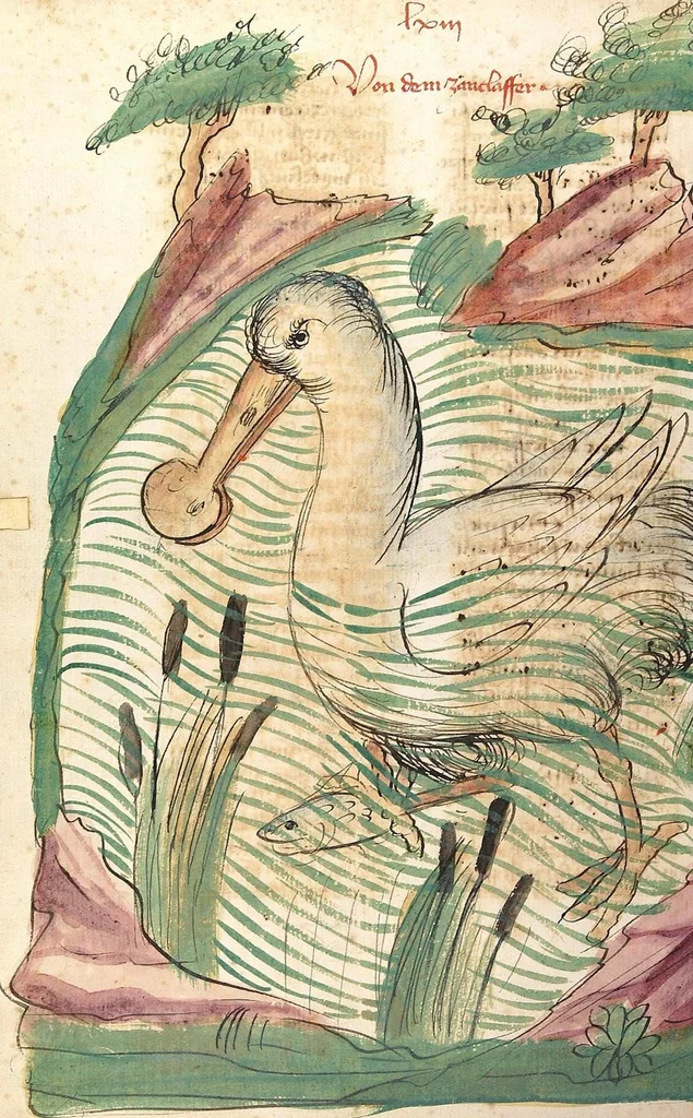 An illustration from Das Buch der Natur, 1442, leaf 346