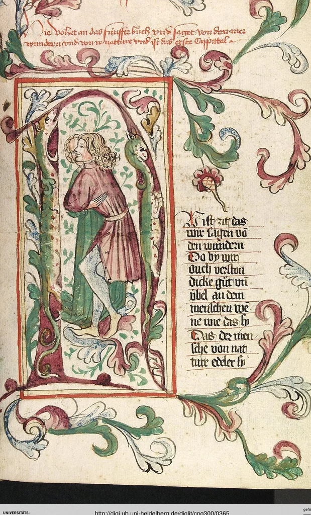 An illustration from Das Buch der Natur, 1442, leaf 365