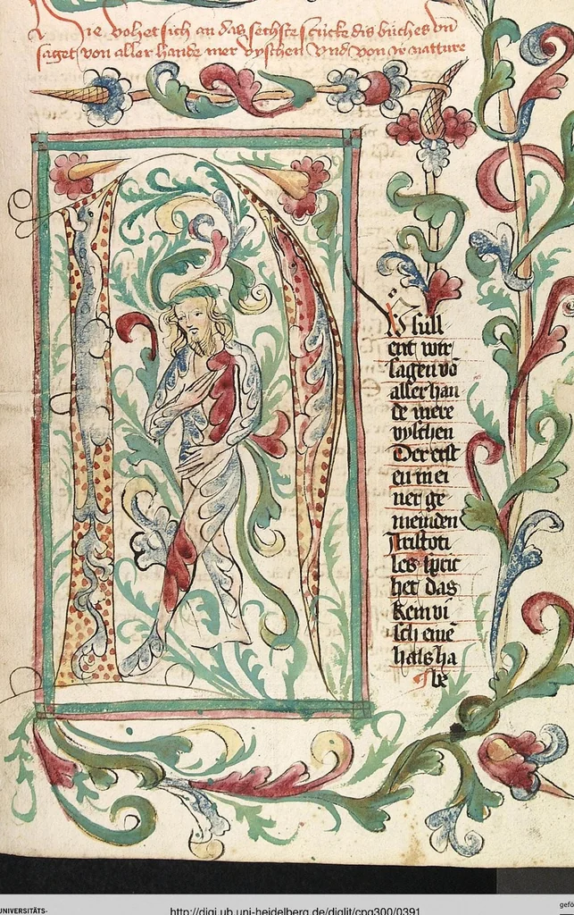 An illustration from Das Buch der Natur, 1442, leaf 391