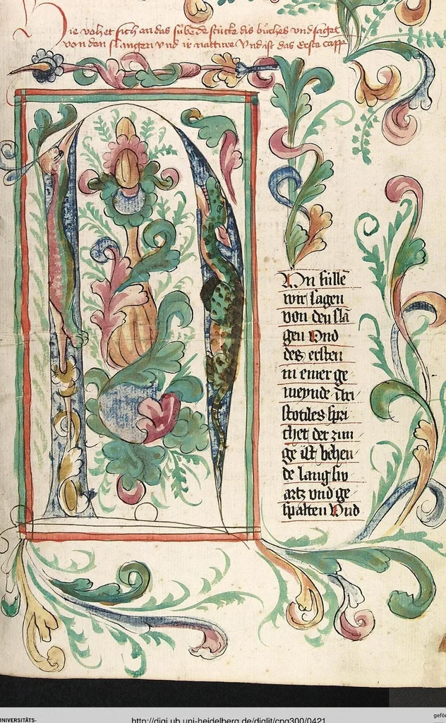 An illustration from Das Buch der Natur, 1442, leaf 421