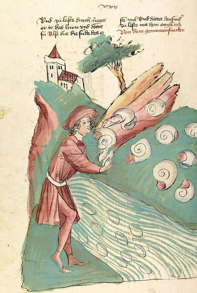 An illustration from Das Buch der Natur, 1442, leaf 490