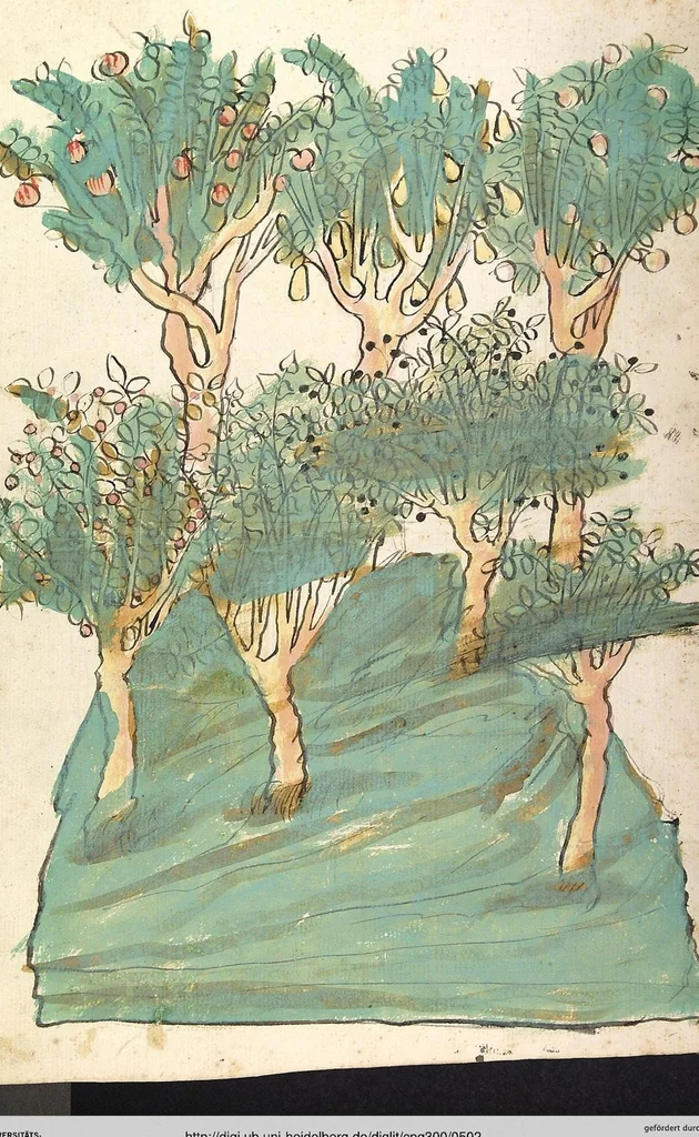 An illustration from Das Buch der Natur, 1442, leaf 502
