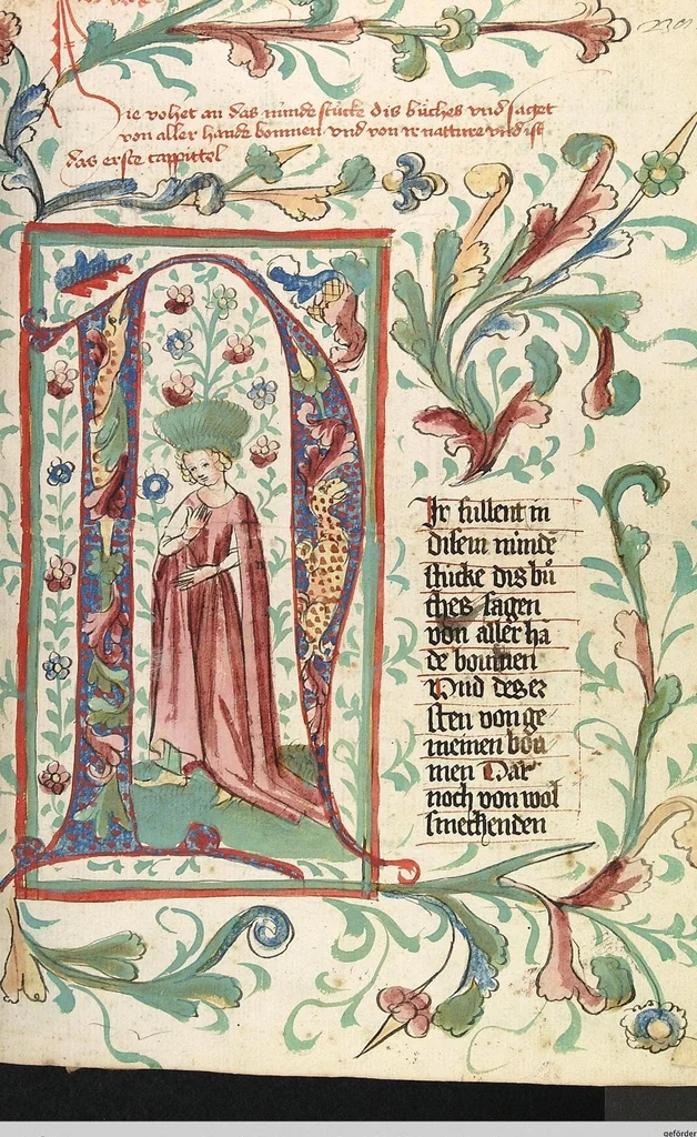 An illustration from Das Buch der Natur, 1442, leaf 503