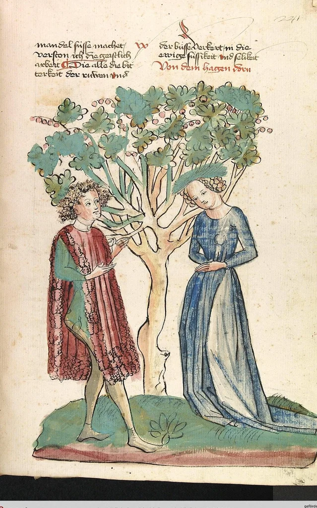 An illustration from Das Buch der Natur, 1442, leaf 509