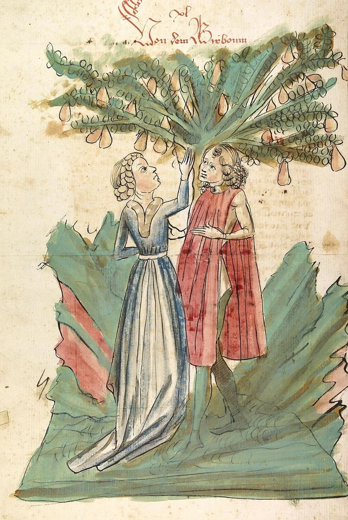 An illustration from Das Buch der Natur, 1442, leaf 542