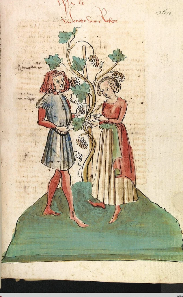 An illustration from Das Buch der Natur, 1442, leaf 555
