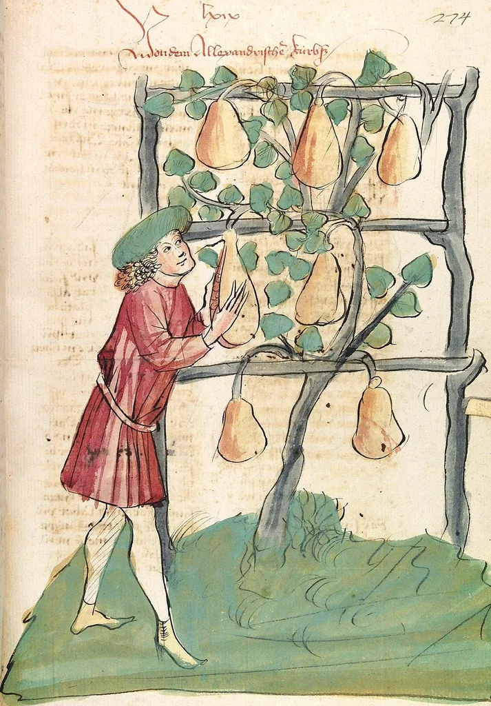 An illustration from Das Buch der Natur, 1442, leaf 575