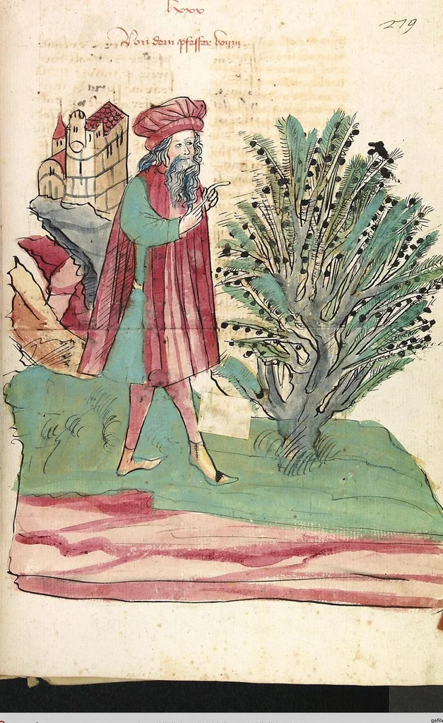 An illustration from Das Buch der Natur, 1442, leaf 585