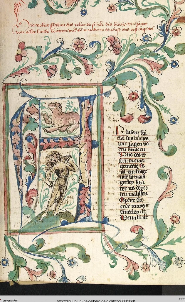 An illustration from Das Buch der Natur, 1442, leaf 601
