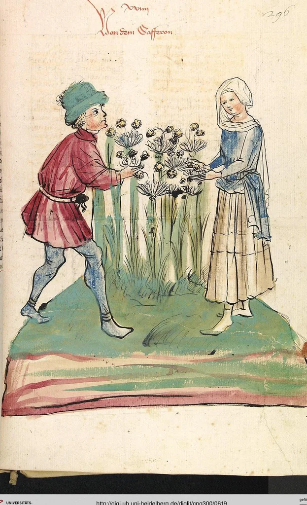 An illustration from Das Buch der Natur, 1442, leaf 619