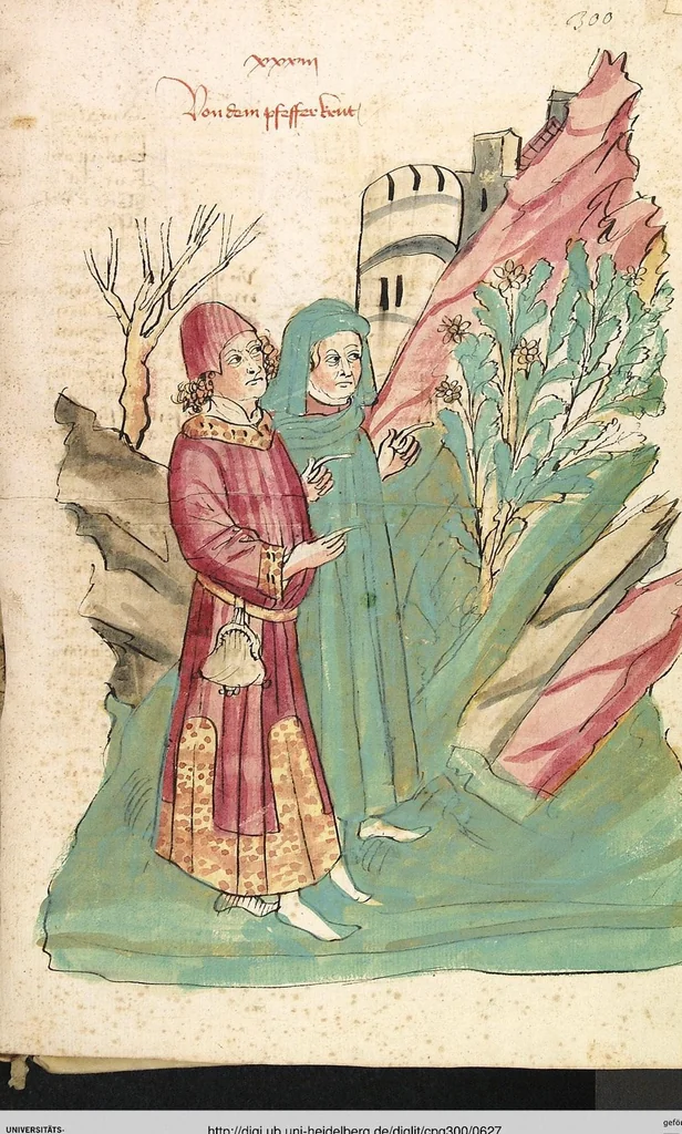An illustration from Das Buch der Natur, 1442, leaf 627