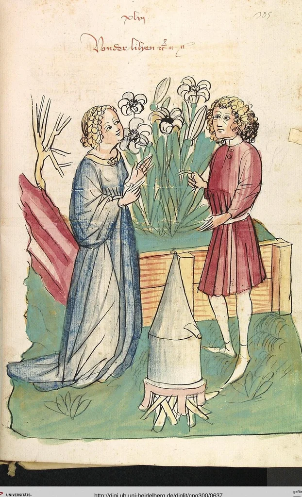 An illustration from Das Buch der Natur, 1442, leaf 637