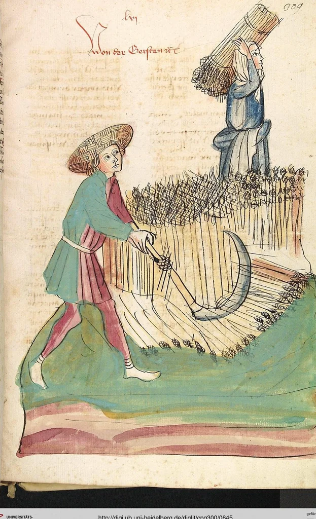 An illustration from Das Buch der Natur, 1442, leaf 645