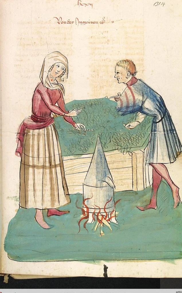 An illustration from Das Buch der Natur, 1442, leaf 655