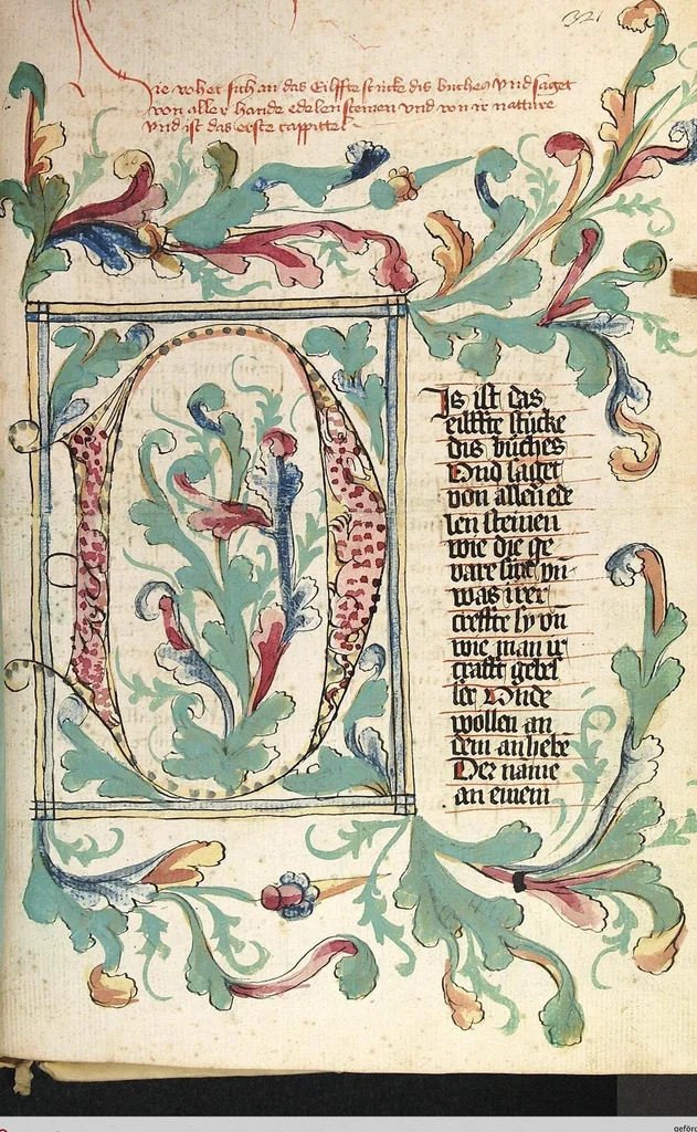 An illustration from Das Buch der Natur, 1442, leaf 669