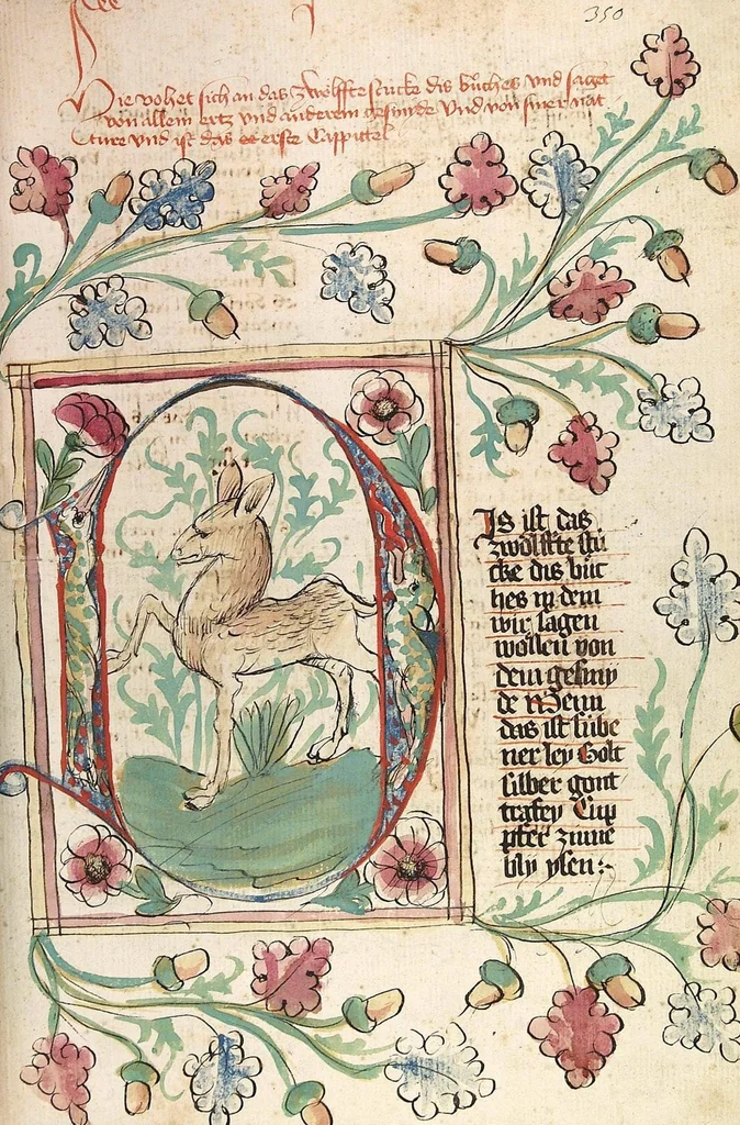 An illustration from Das Buch der Natur, 1442, leaf 731