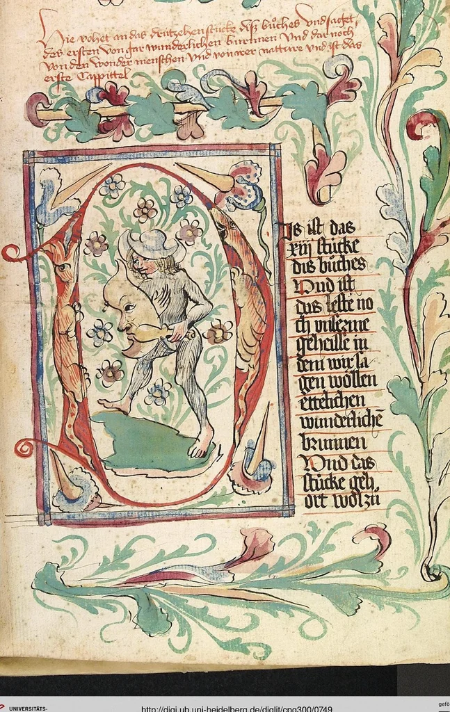 An illustration from Das Buch der Natur, 1442, leaf 749