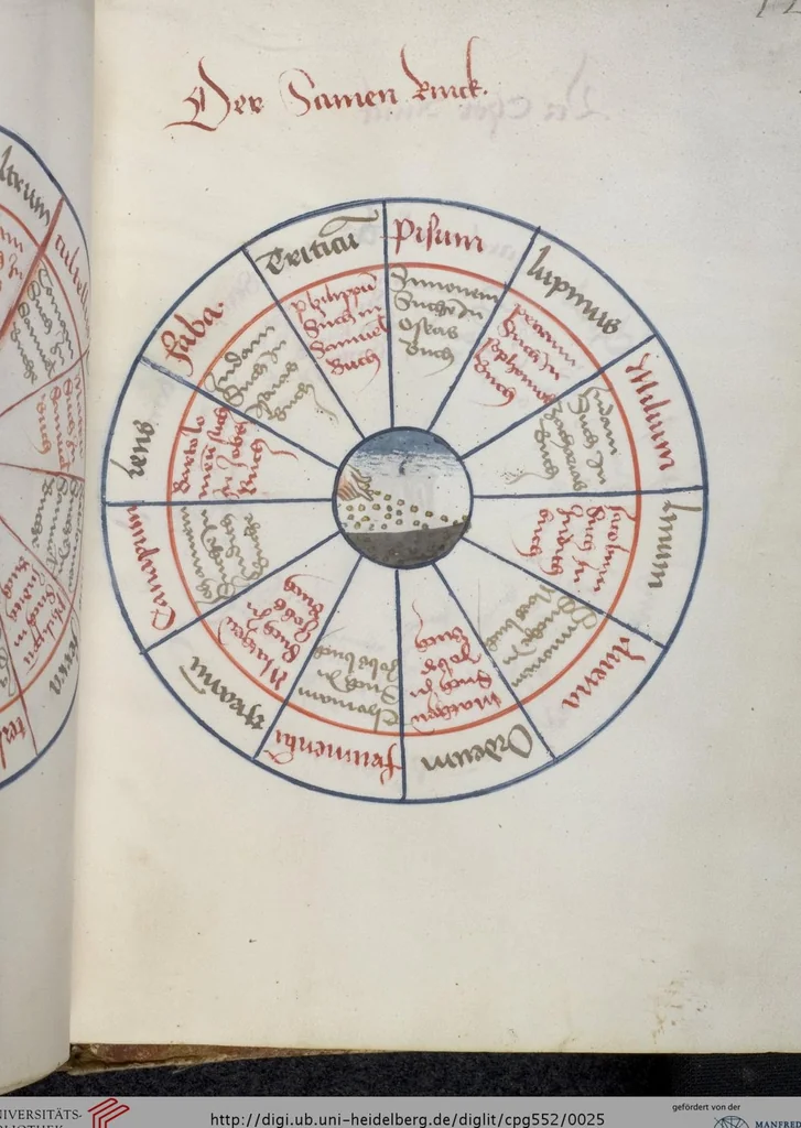 An illustration from Losbuch - Geomantie - Lebensplaneten - Verworfene Tage, 1492, leaf 25