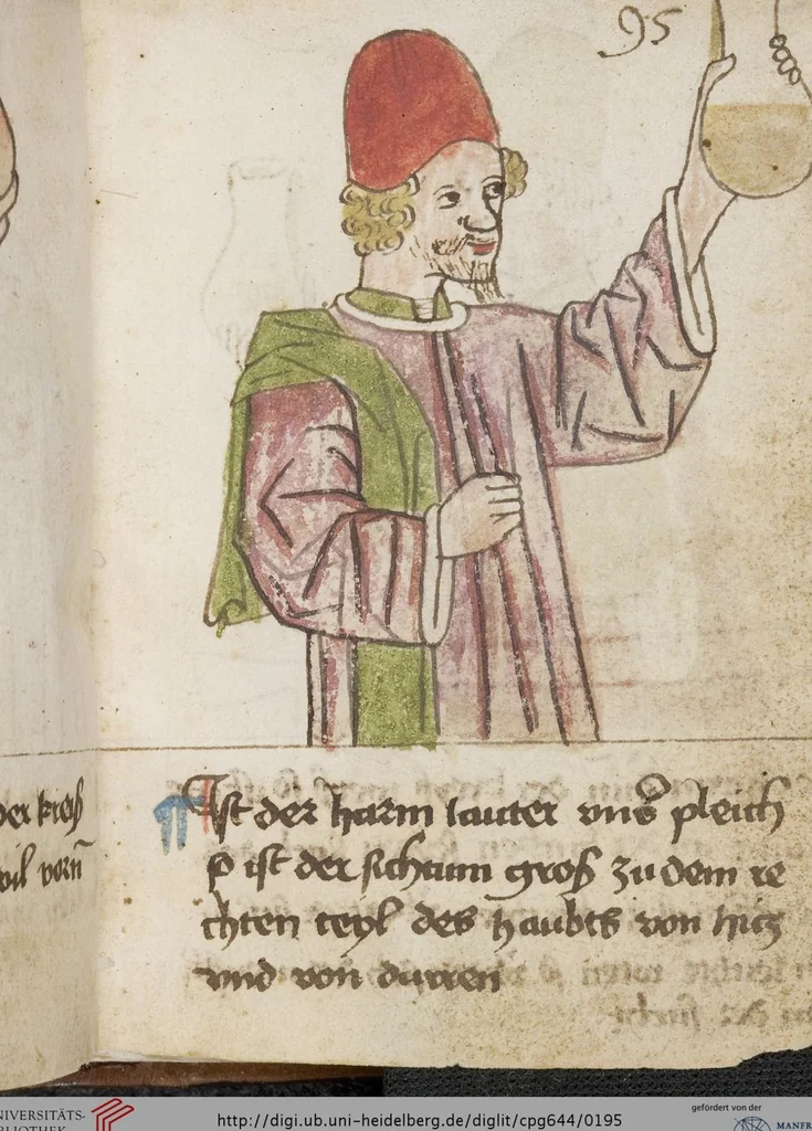 An illustration from Medizinische Traktate und Rezepte, 1450, leaf 195