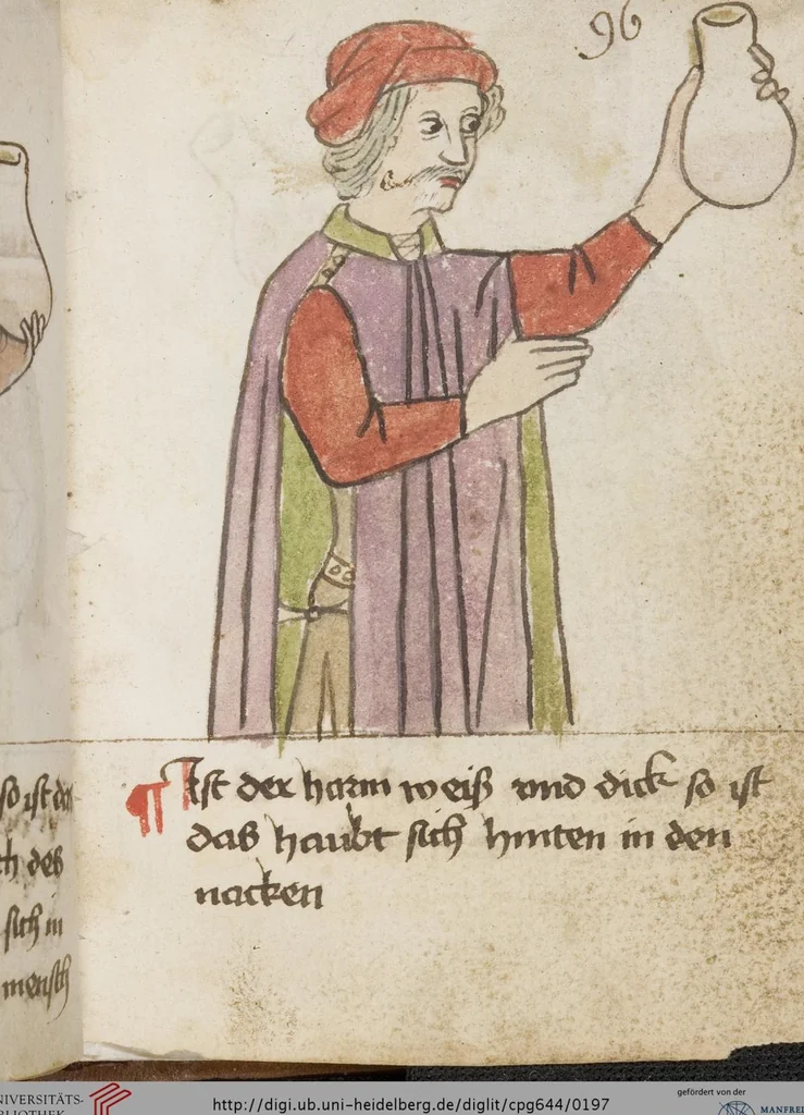 An illustration from Medizinische Traktate und Rezepte, 1450, leaf 197