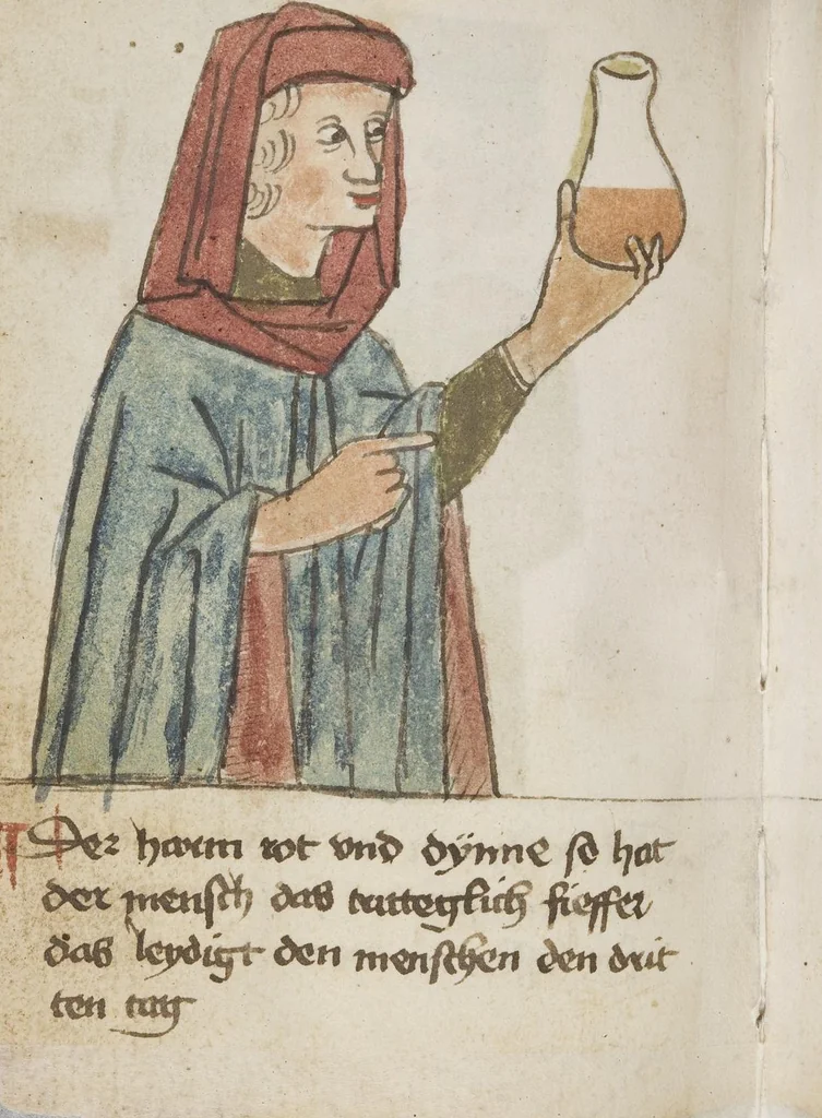 An illustration from Medizinische Traktate und Rezepte, 1450, leaf 202