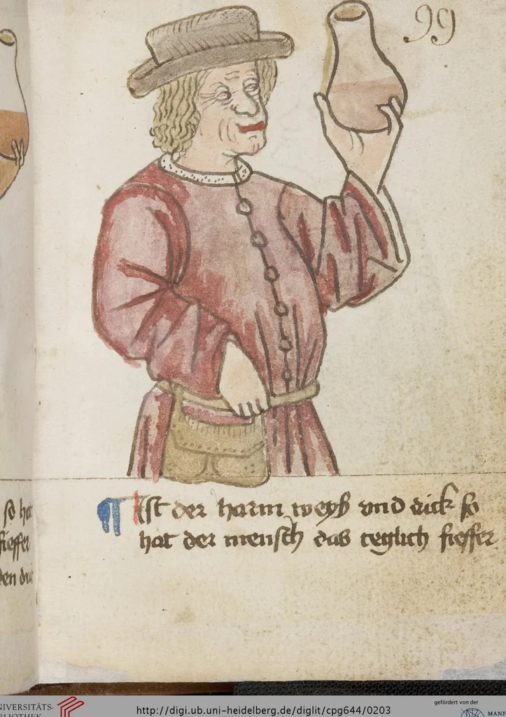 An illustration from Medizinische Traktate und Rezepte, 1450, leaf 203