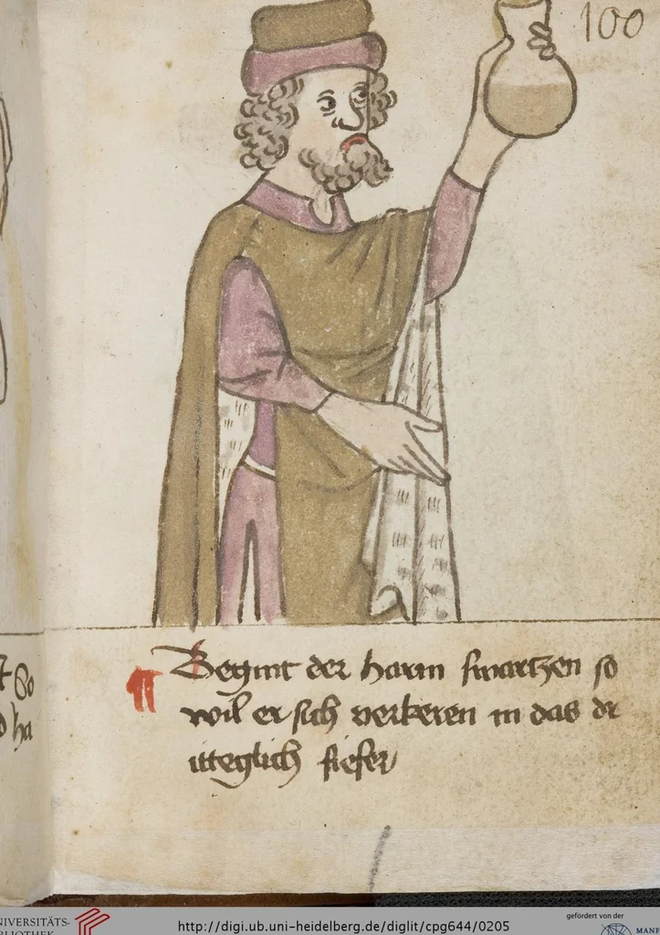 An illustration from Medizinische Traktate und Rezepte, 1450, leaf 205
