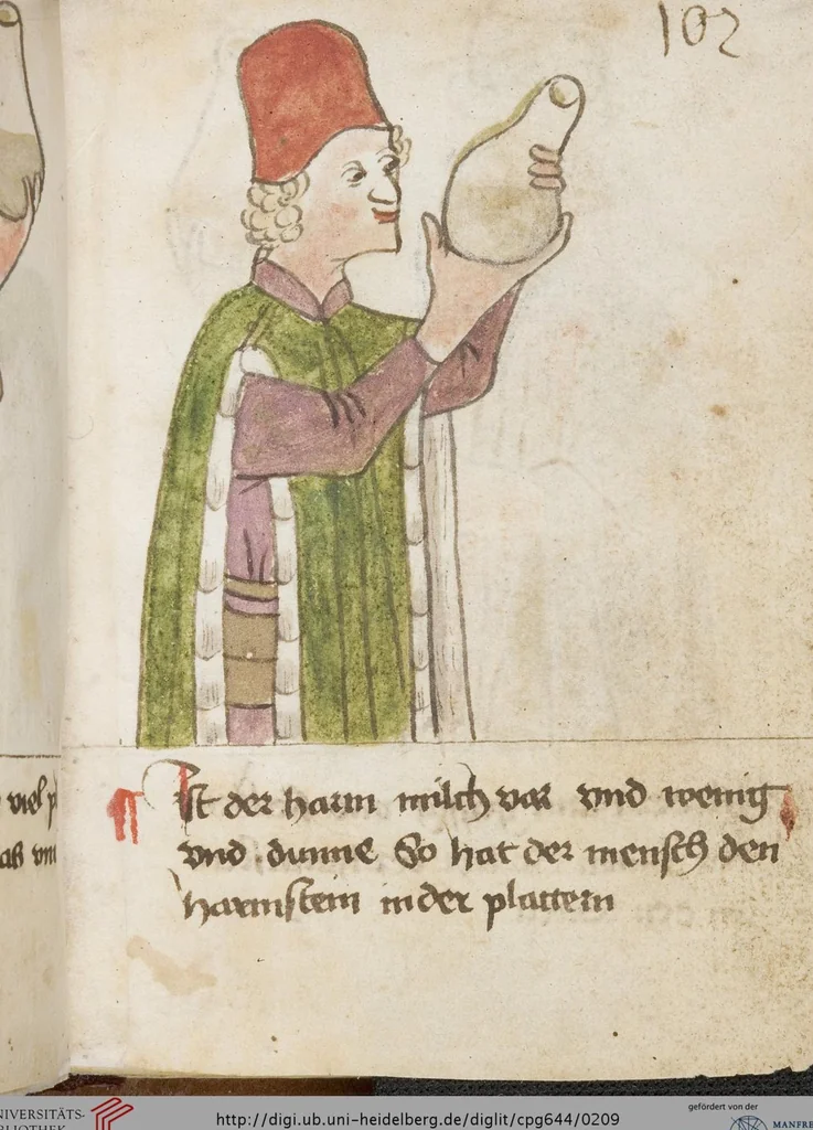 An illustration from Medizinische Traktate und Rezepte, 1450, leaf 209