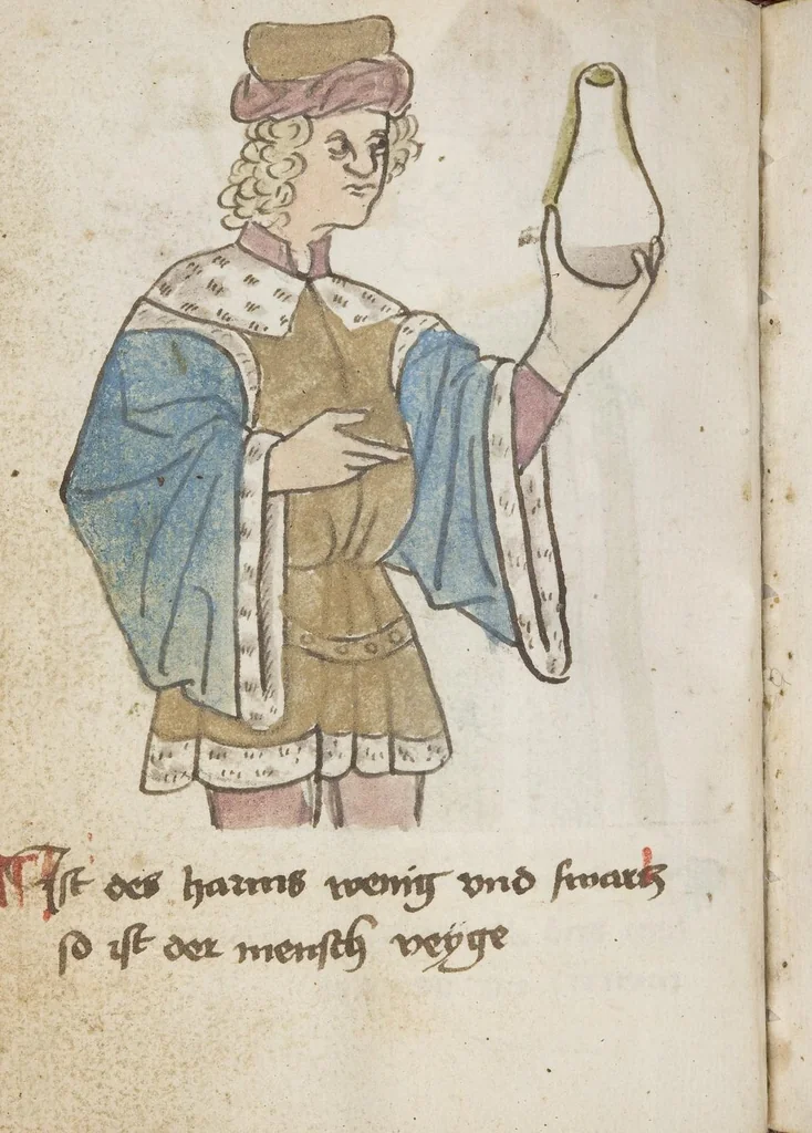 An illustration from Medizinische Traktate und Rezepte, 1450, leaf 214