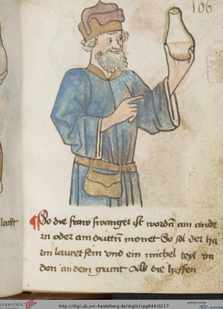 An illustration from Medizinische Traktate und Rezepte, 1450, leaf 217