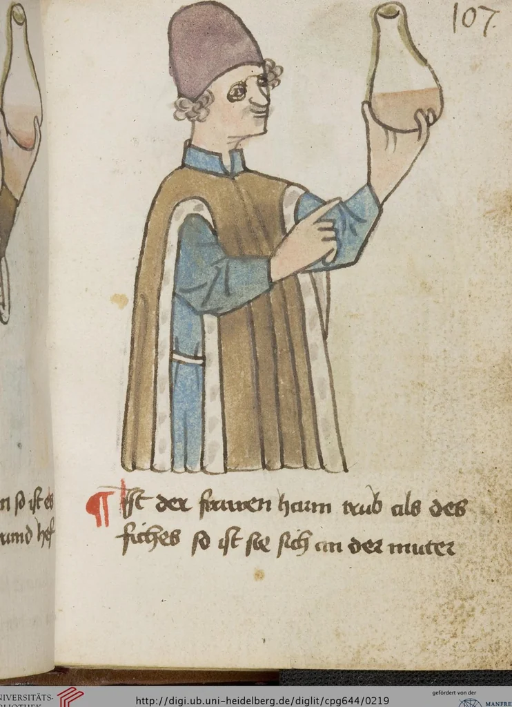 An illustration from Medizinische Traktate und Rezepte, 1450, leaf 219