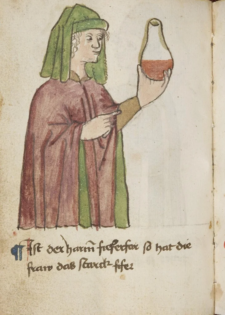 An illustration from Medizinische Traktate und Rezepte, 1450, leaf 220