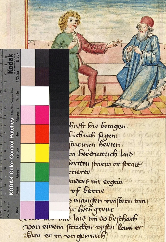 An illustration from Sigenot, 1470, leaf 219