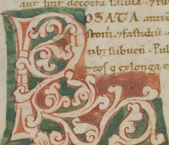 An illustration from Medizinische Sammelhandschrift, leaf 580