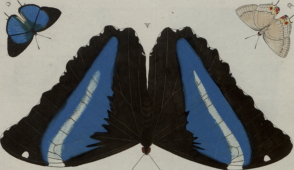 An illustration from (Band 1, Tafeln): De plaaten I - XCVI, 1779, leaf 29
