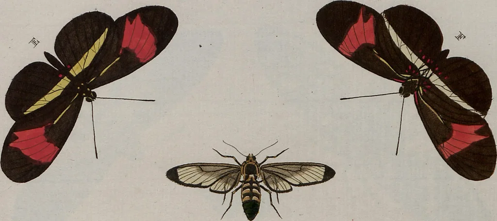 An illustration from (Band 1, Tafeln): De plaaten I - XCVI, 1779, leaf 47