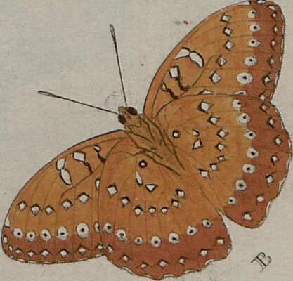 An illustration from (Band 1, Tafeln): De plaaten I - XCVI, 1779, leaf 68