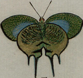 An illustration from (Band 1, Tafeln): De plaaten I - XCVI, 1779, leaf 78