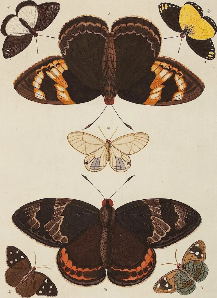 An illustration from (Band 4, Tafeln): De plaaten CCLXXXIX - CCCC, 1782, leaf 100