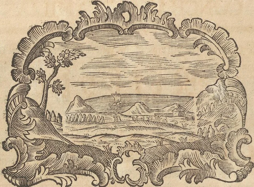 An illustration from Des Herrn Dezallier von Argenville Cammerraths und Mitglieds der königlichen Gesellschaften der Wissenschaften zu London und Montpellier Conchyliologie oder Abhandlung von den Schnecken, Muscheln und andern Schaalthieren welche in der See, in süssen Wassern und auf dem Lande gefunden werden: Nebst der Zoomorphose oder Abbildung und Beschreibung der Thiere welche die Gehäuse bewohnen ; Aus dem Französischen übersetzt und mit Anmerkungen vermehrt. Mit ein und vierzig Kupfertafeln, 1772, leaf 156