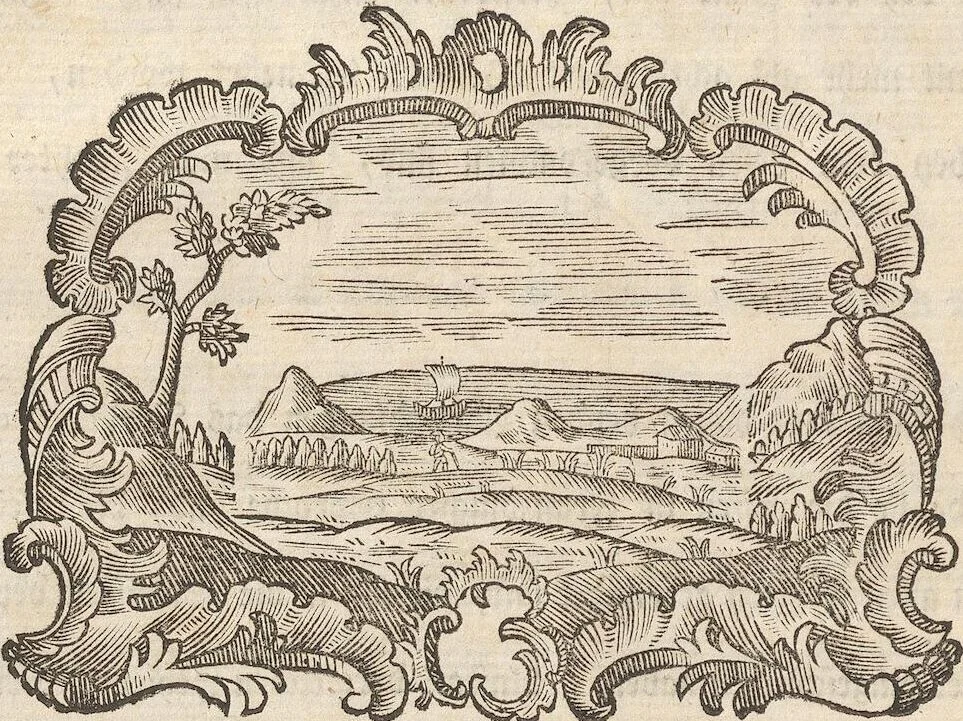 An illustration from Des Herrn Dezallier von Argenville Cammerraths und Mitglieds der königlichen Gesellschaften der Wissenschaften zu London und Montpellier Conchyliologie oder Abhandlung von den Schnecken, Muscheln und andern Schaalthieren welche in der See, in süssen Wassern und auf dem Lande gefunden werden: Nebst der Zoomorphose oder Abbildung und Beschreibung der Thiere welche die Gehäuse bewohnen ; Aus dem Französischen übersetzt und mit Anmerkungen vermehrt. Mit ein und vierzig Kupfertafeln, 1772, leaf 20