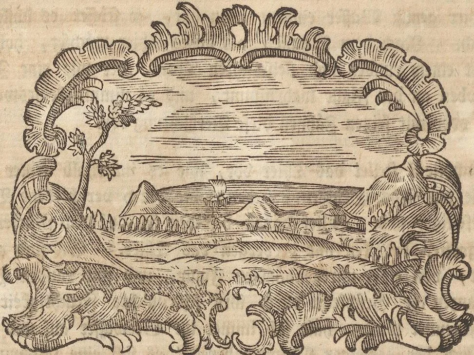 An illustration from Des Herrn Dezallier von Argenville Cammerraths und Mitglieds der königlichen Gesellschaften der Wissenschaften zu London und Montpellier Conchyliologie oder Abhandlung von den Schnecken, Muscheln und andern Schaalthieren welche in der See, in süssen Wassern und auf dem Lande gefunden werden: Nebst der Zoomorphose oder Abbildung und Beschreibung der Thiere welche die Gehäuse bewohnen ; Aus dem Französischen übersetzt und mit Anmerkungen vermehrt. Mit ein und vierzig Kupfertafeln, 1772, leaf 446
