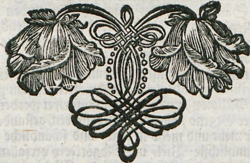 An illustration from Antiqvitates Gentilismi Nordgaviensis: Das ist, Kurtzer, doch gründlicher Bericht Von dem Heydenthum Der alten Nordgauer, 1734, leaf 127