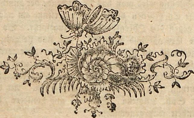 An illustration from (Band 2): Der europäischen Schmetterlinge Zweyter Theil welcher die Abendschmetterlinge von Tom. II Tab. I - Tom. II Tab. XXXVI. Cont. XI. und die Bögen (A) bis (Gg) enthält, 1779, leaf 234